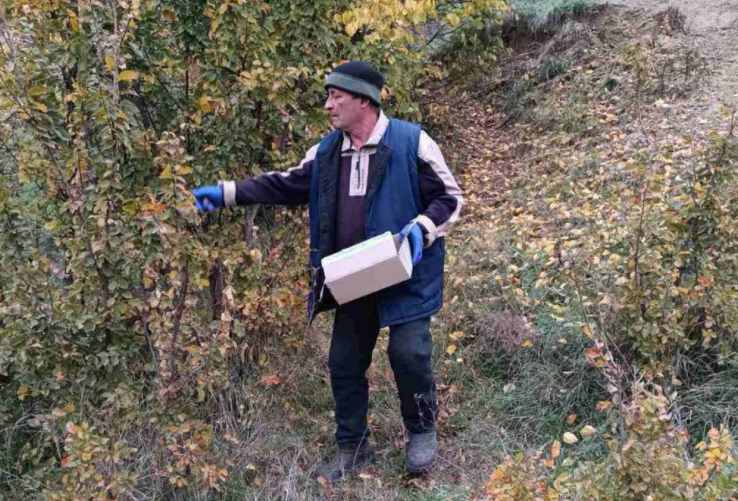 імунизація дики тварин