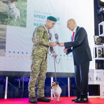 Майла нагорода