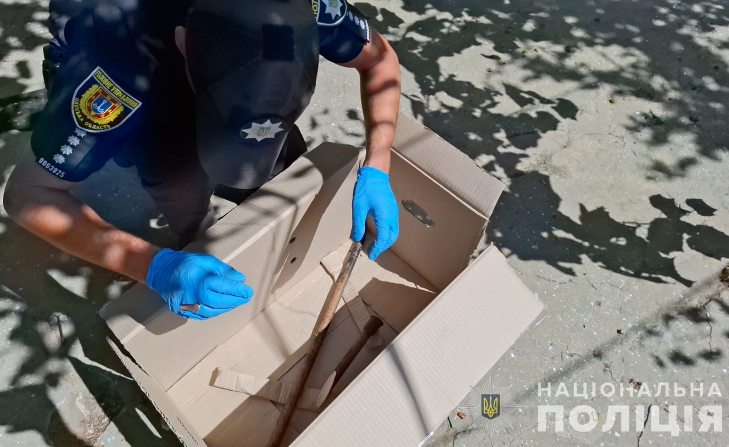 Шабо побиття до смерті
