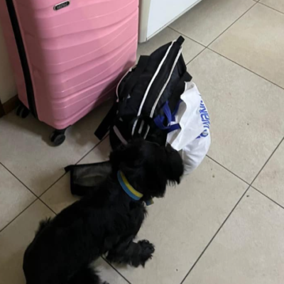 Грей маріхуана