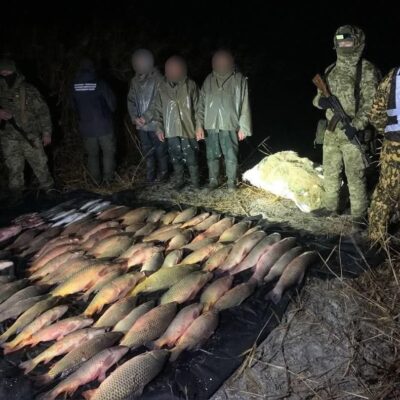 Приморське браконьєри