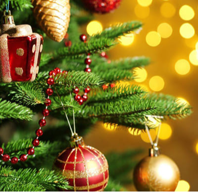 ялинка Рені