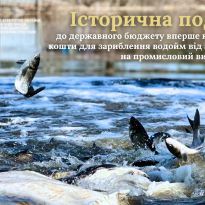 аукціони зариблення