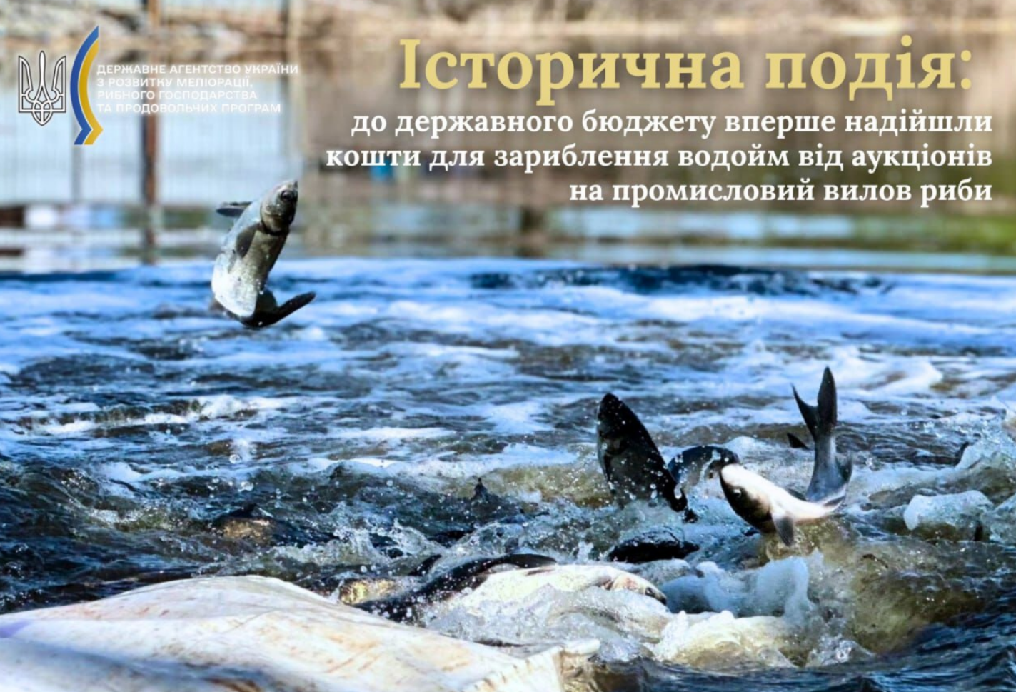 аукціони зариблення