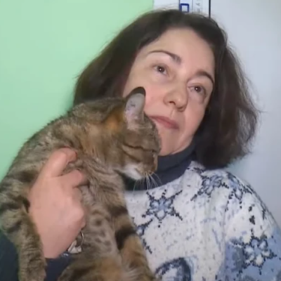 кіт Зміїний