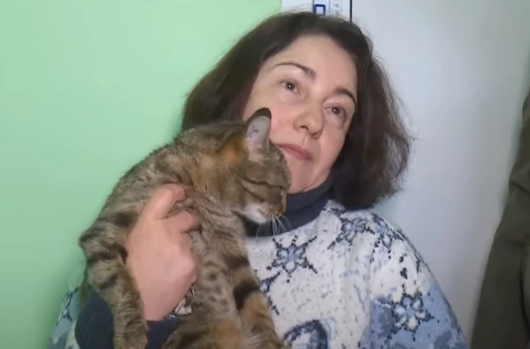 кіт Зміїний