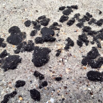 мазут Одещина