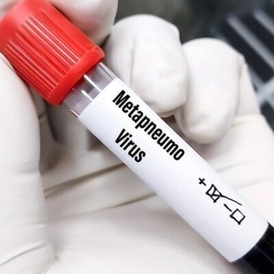 метапневмовірус