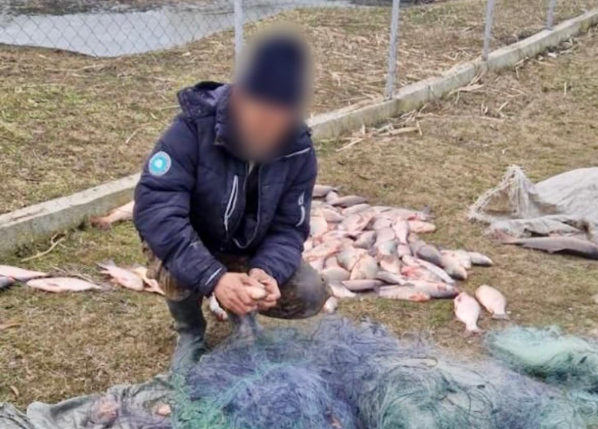 Браконьєр Катлабуг