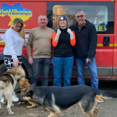 стерилізації тварин