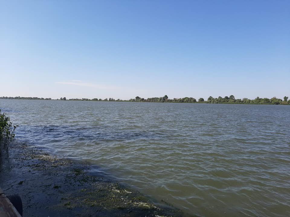 Вилкове зникла