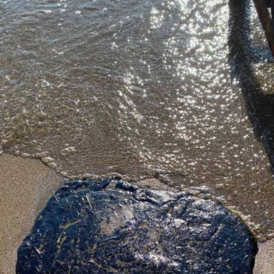 чорне море нафтопродукти