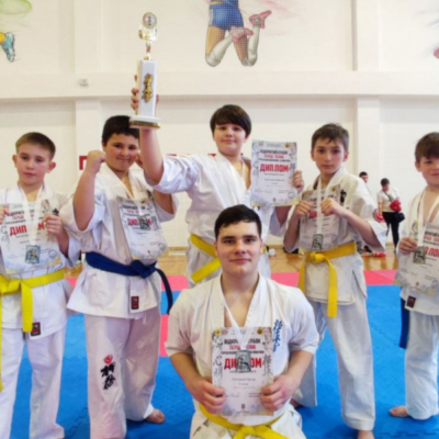 карате Вилкове