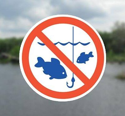 нерестова заборона на вилов риби