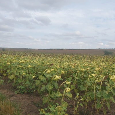 земельна ділянка Тарутине