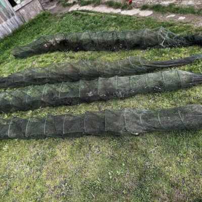 браконьєр затока