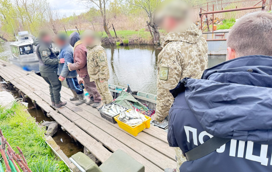 браконьєри оселедець