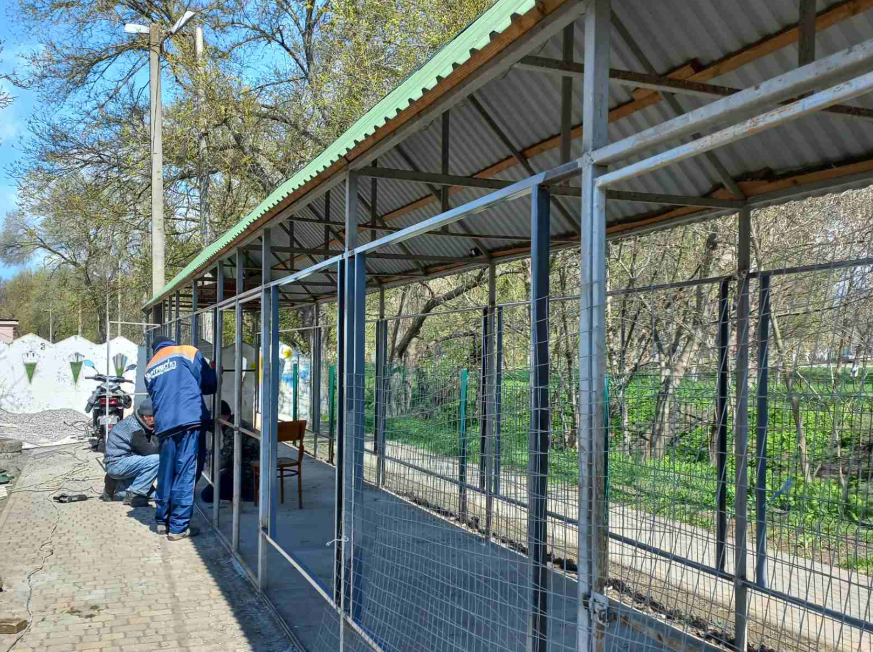 мінізоопарк птахів