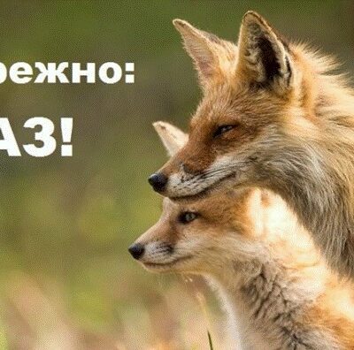 сказ Одещина