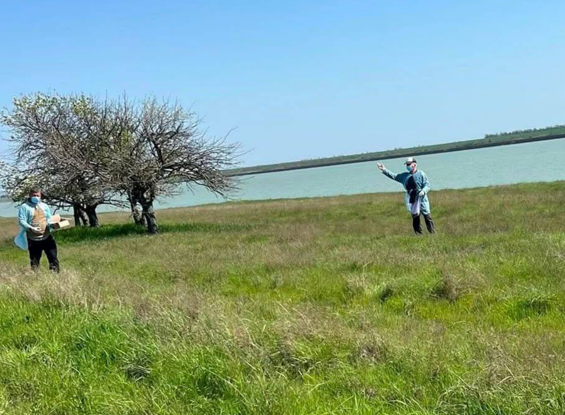 Тузлівські лимани імунізація