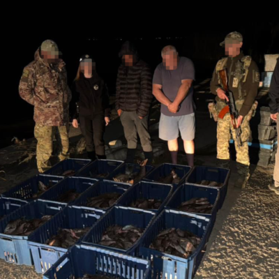 браконьєри катлабух