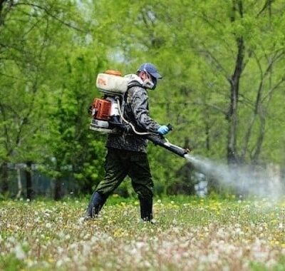 обробка від кліщів