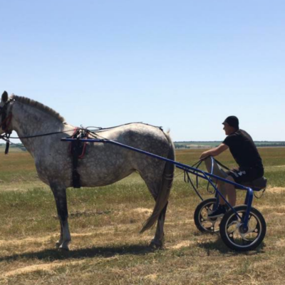 перегони на гойдалках