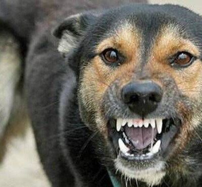 сказ Болград