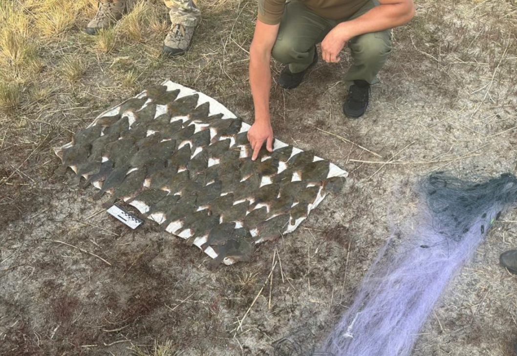 Тузлівські лимани браконьєри