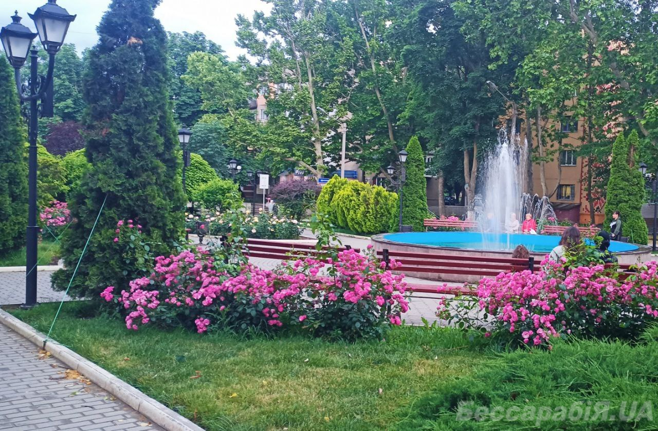 погода