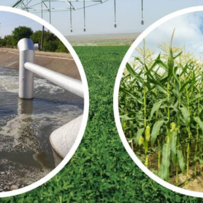 Білгород-Дністровський район зрошення