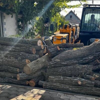 чорні лісоруби