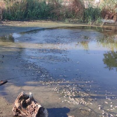 вилкове вода