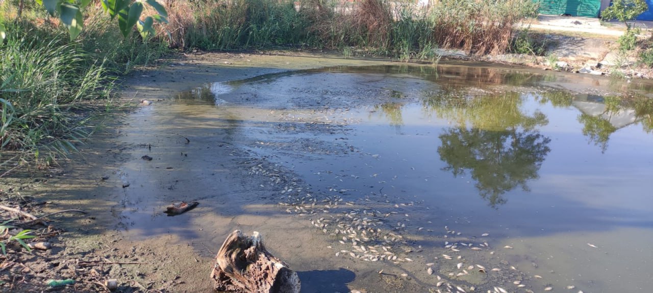 вилкове вода