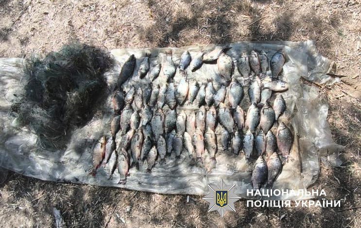 риба