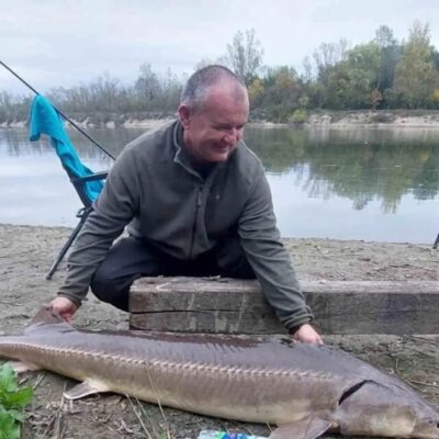 осетр Дунай