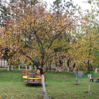 дитячий майданчик Табаки