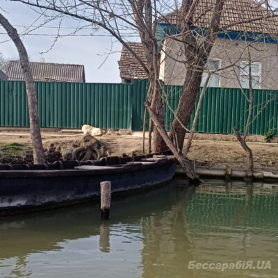 Вилкове чоловіки