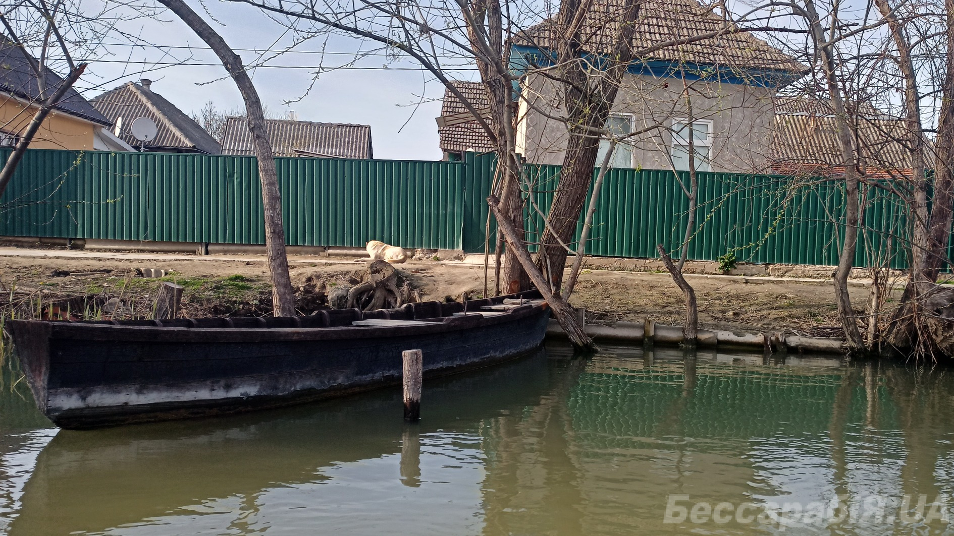 Вилкове чоловіки