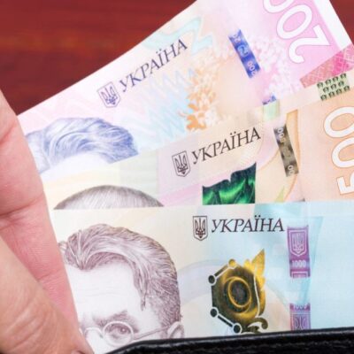 Зимова підтримка