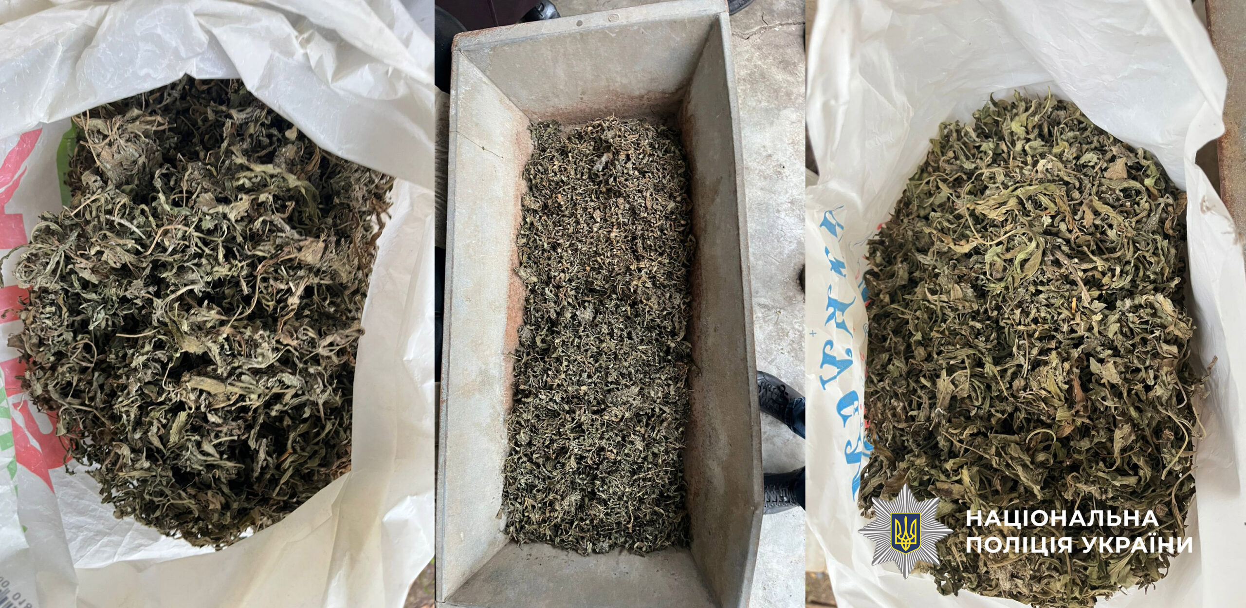 Болградський район наркотики