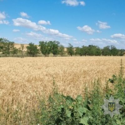 Болградський район самовільне зайняття ділянки