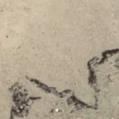 Чорне море мазут