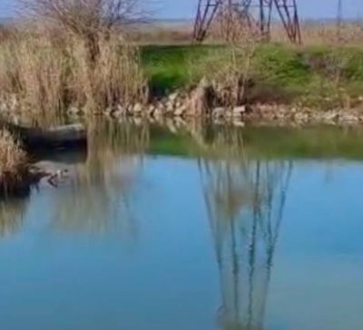 Придунайські озера рівень води