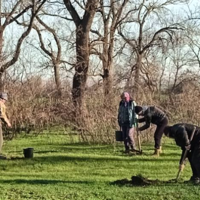 Весела Долина пожежа нові дерева