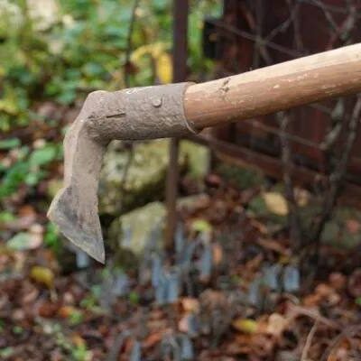 Вилкове побиття сапою родички