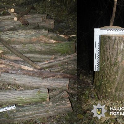 Буджацька громада вирубка лісу