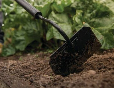 Тарутине вбив сапою