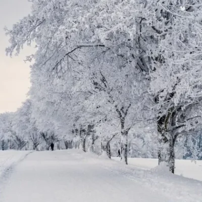 Болград снігопад