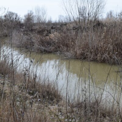 Ізмаїльський район озчищення каналів наповнення озер